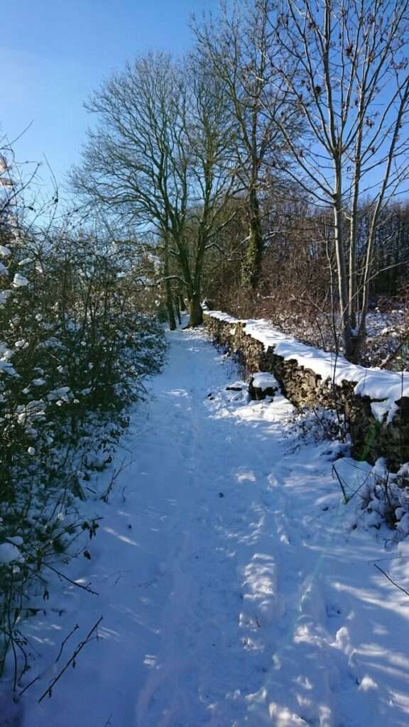 25-01-19 : Par une belle journée hivernale....