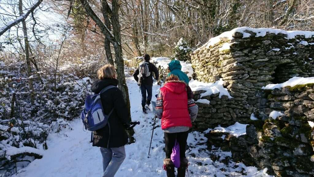 25-01-19 :Par une belle journée d'hiver...