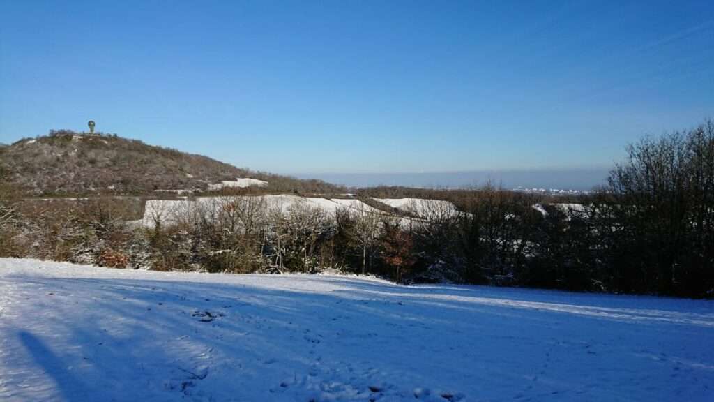 25-01-2019 Par une belle journée hivernale....